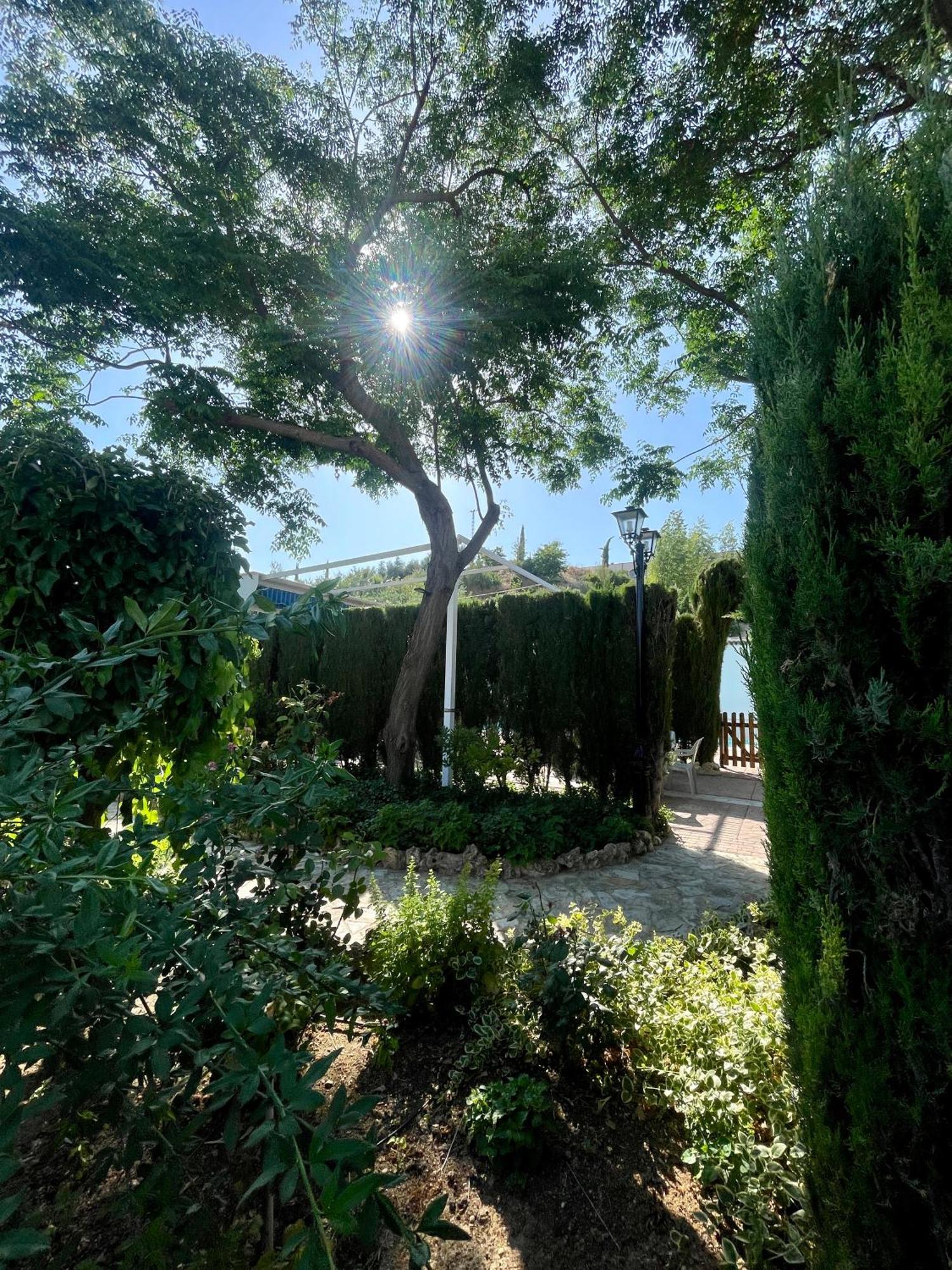 Villa Jardin Priego de Córdoba Eksteriør billede