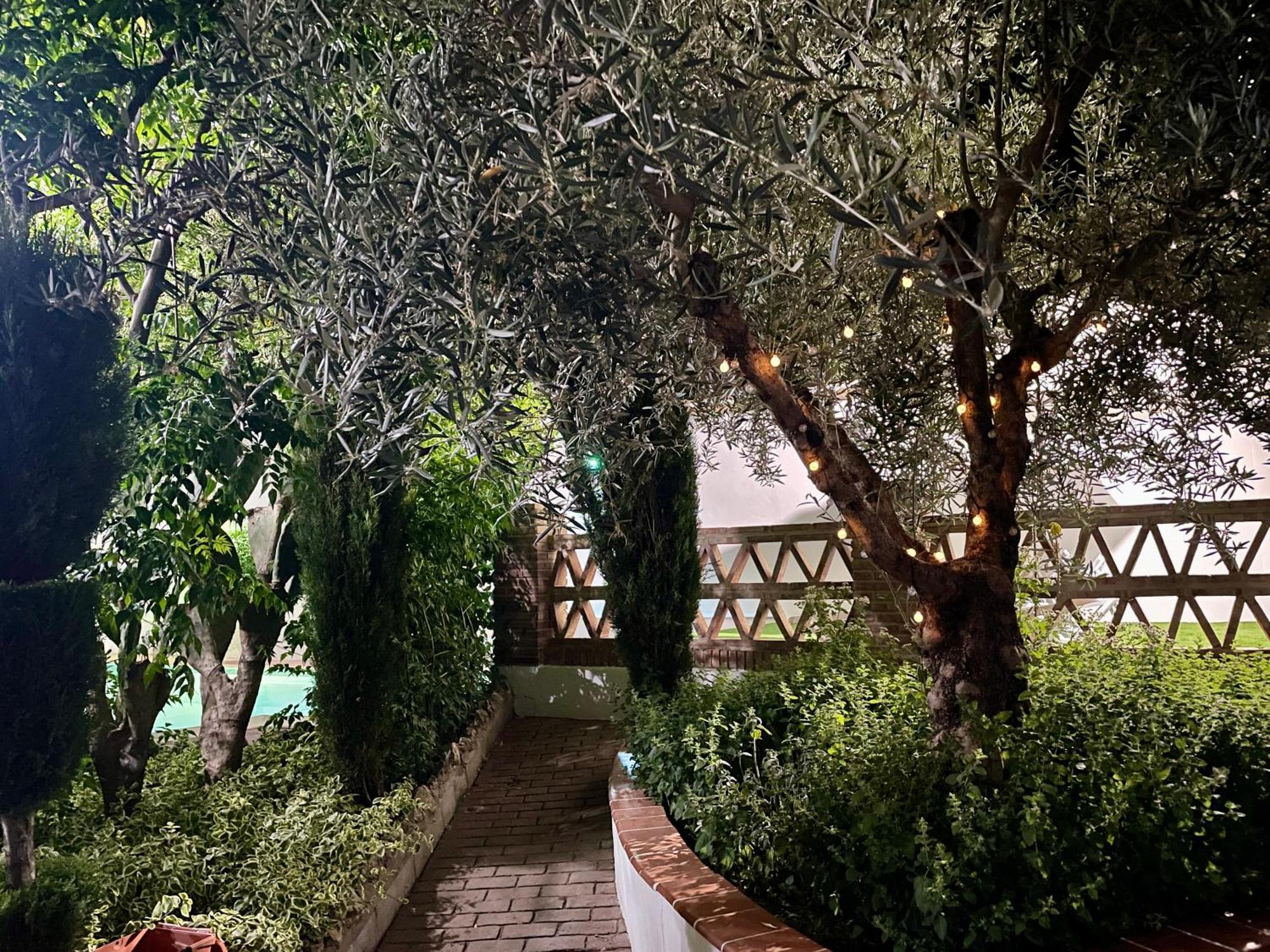 Villa Jardin Priego de Córdoba Eksteriør billede